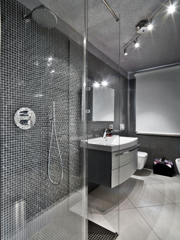 Contemporary Shower Designs